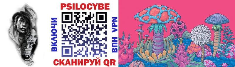 Галлюциногенные грибы Cubensis  Купить  Козловка 